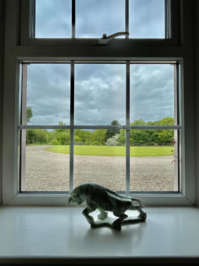 The Cottage At Riverbank Ballinamallard Exteriör bild